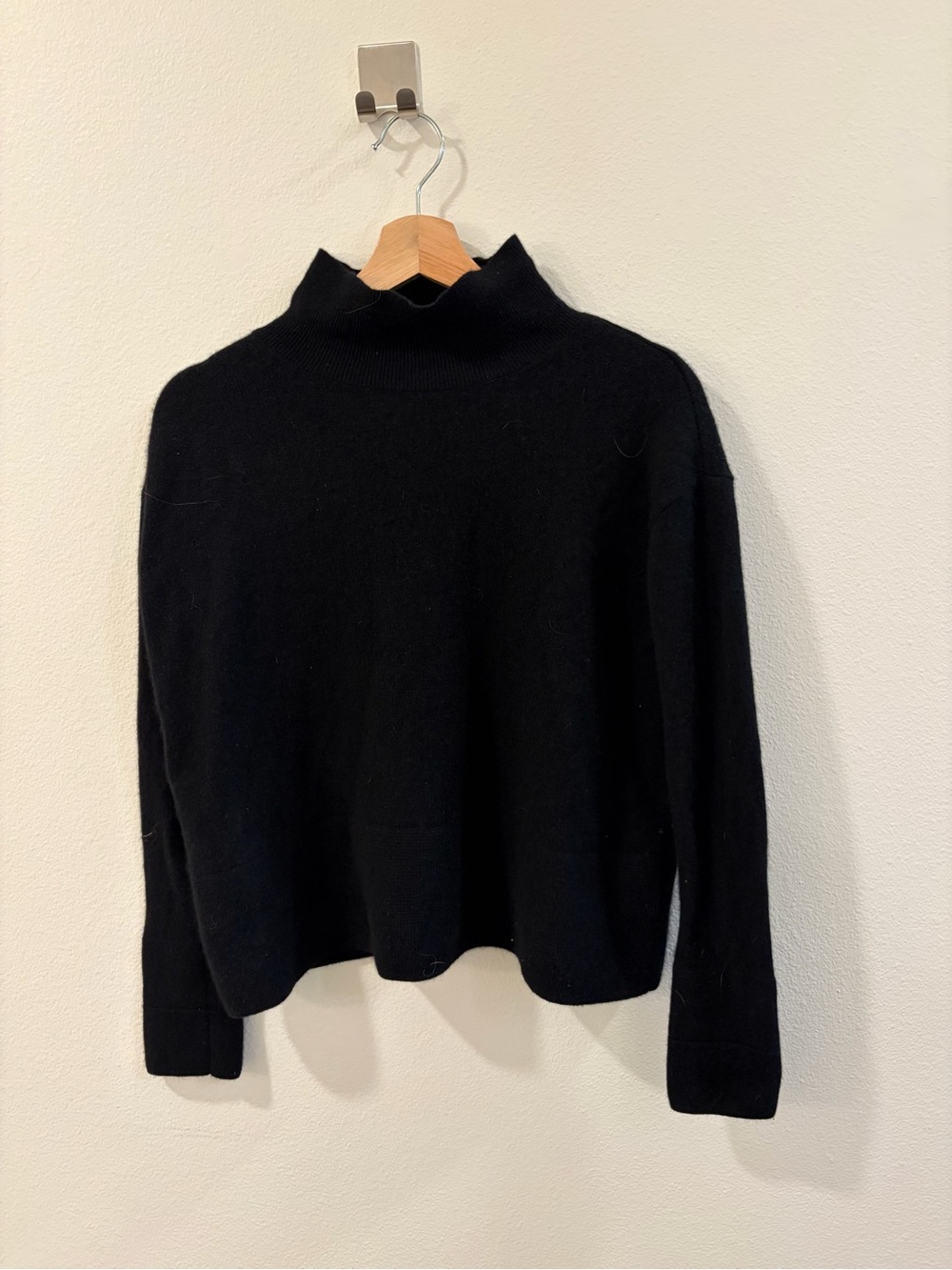 Everlane Black Mock Neck Sweater